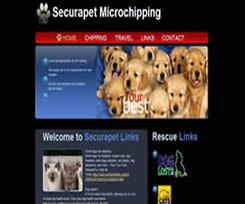 competitely priced website design Affordable for all