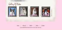 competitely priced website design Affordable for all