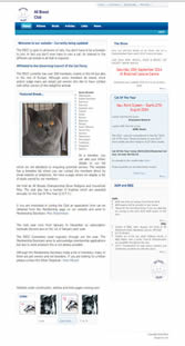 competitely priced website design