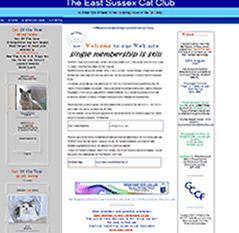 competitely priced website design Affordable for all