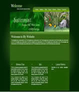 competitely priced website design