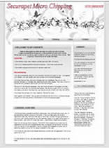 competitely priced website design