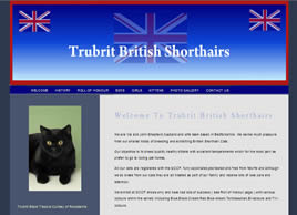 competitely priced website design
